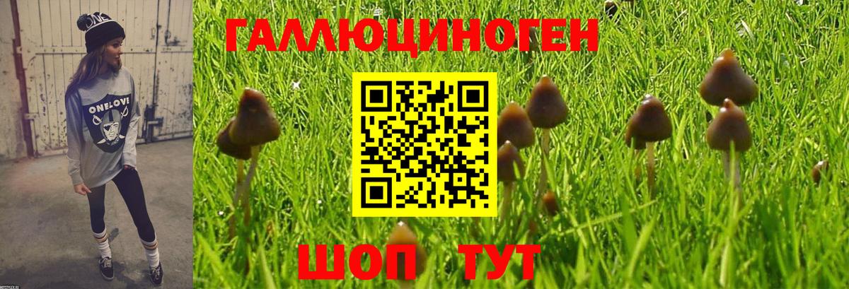 Галлюциногенные грибы мухоморы Кызыл