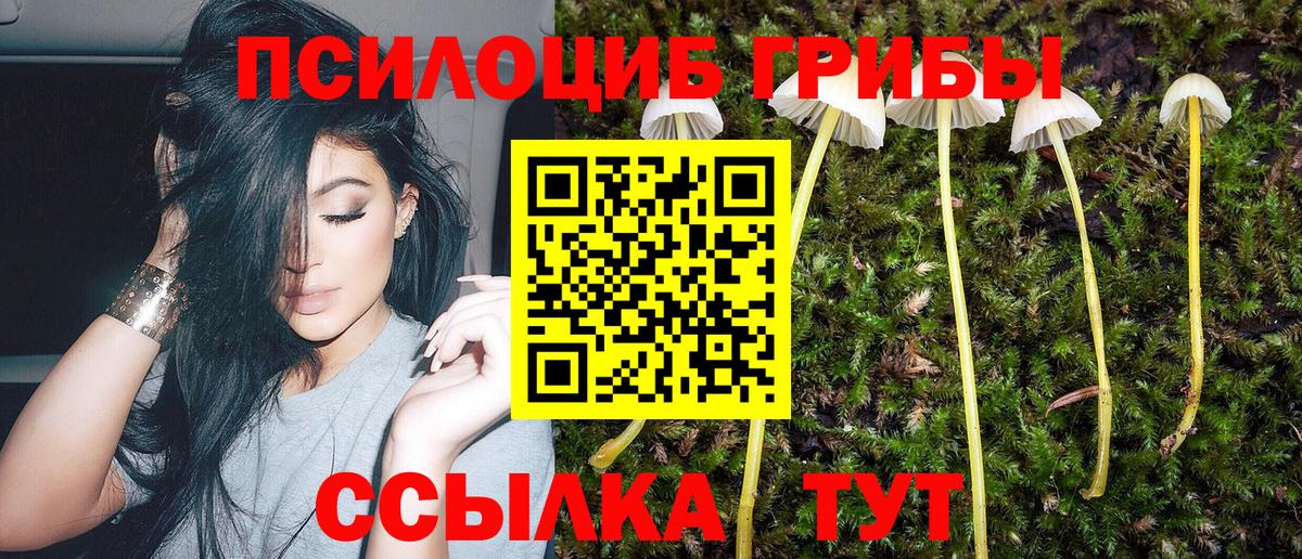 Кызыл  Псилоцибиновые грибы мицелий  Вход с VPN 